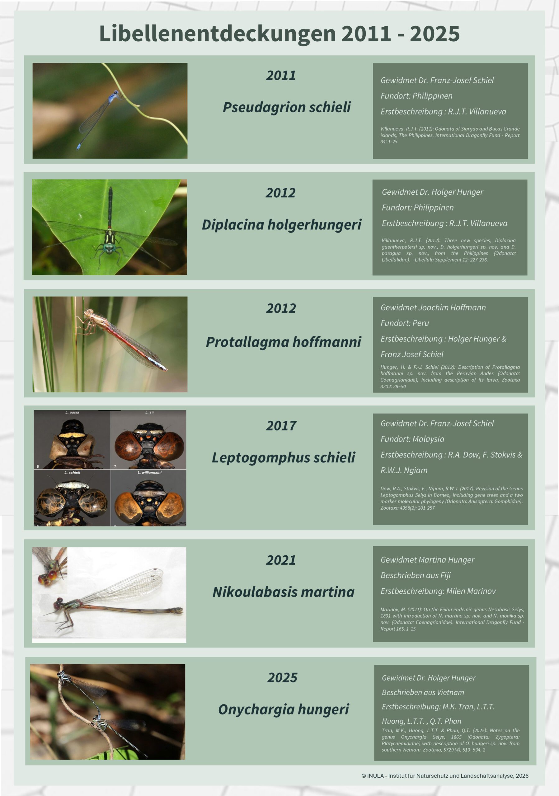 Libellen_Onychargia hungeri_2026_INULA