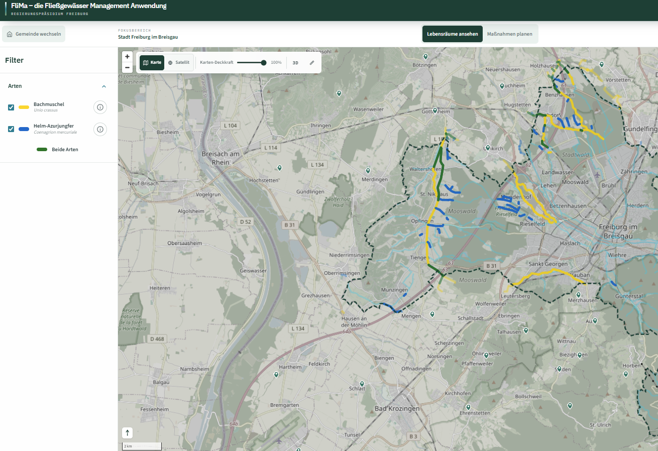 Screenshot der Anwendung „FIMa – die Fließgewässer Management Anwendung“ für die Stadt Freiburg im Breisgau. Eine Karte zeigt Fließgewässer mit farblich markierten Abschnitten: gelb für Bachmuschel, blau für Helm-Azurjungfer und grün für Bereiche, in denen beide Arten vorkommen. Links befindet sich ein Filterbereich mit auswählbaren Arten.